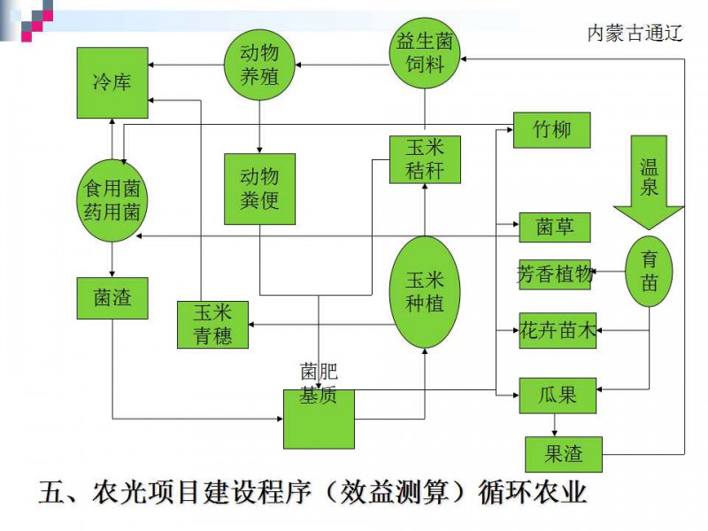 幻灯片101