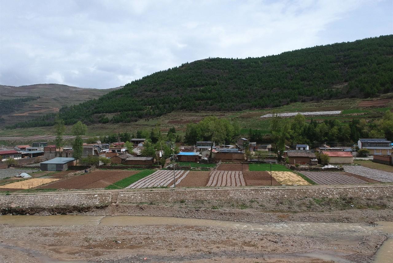 > 正文  但一切,随着一座座村级光伏扶贫电站项目的建成,岷县闾井镇