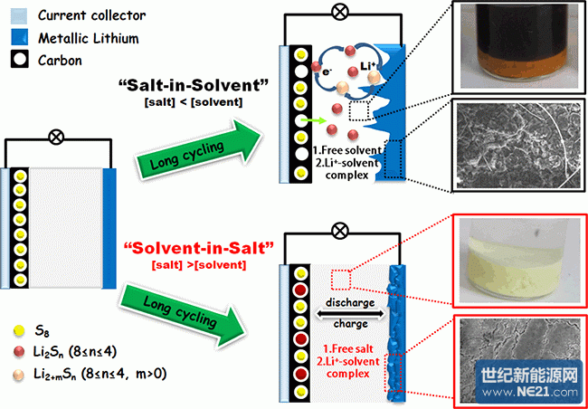 一种锂硫电池用新型双功能"solvent-in-salt"电解液示意图