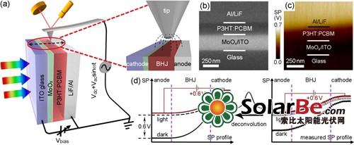 图1.(a)利用扫描开尔文探针显微镜观测薄膜光伏器件横截面的原理图。(b)有机光伏器件横截面扫描电镜图。(c)暗态下有机光伏器件表面电势图。(d)利用偏压补偿法定量测量器件能级排布的原理图。