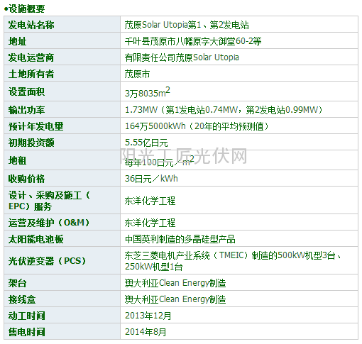 【电站探访】百万光伏电站遍植三叶草：可代替留置森林